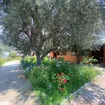 Violet Village